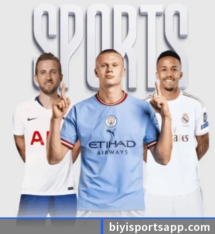 必一体育 APP(BSports)